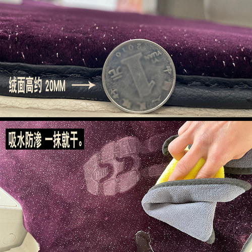 适用于06-20款普瑞维亚Previa ACR50 大霸王Estima脚垫星空毯右舵 - 图2