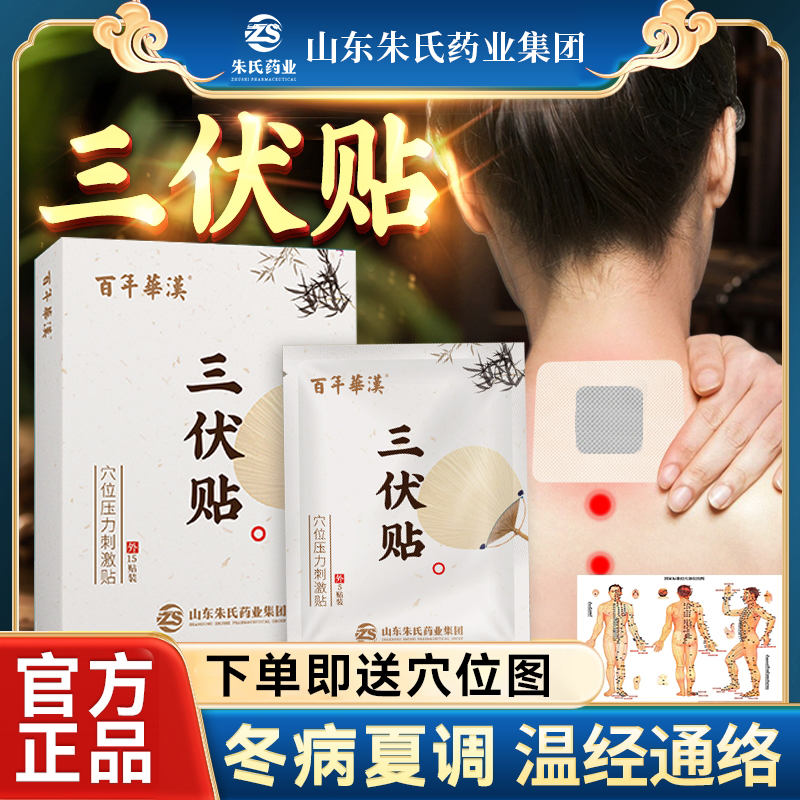 秦鲁百年华汉三伏贴穴位贴敷冬病夏防艾灸儿童成人穴位图三伏天灸