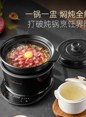 摩飞电炖锅家用药膳富硒隔水炖锅