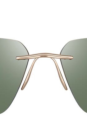 PorscheDesign男太阳眼镜