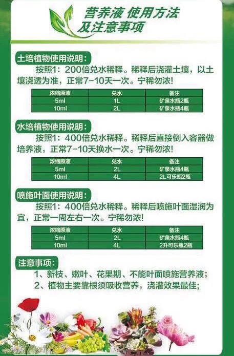 营养液植物通用型绿植肥料盆栽发财树富贵竹绿萝水培花卉花肥家用 - 图3