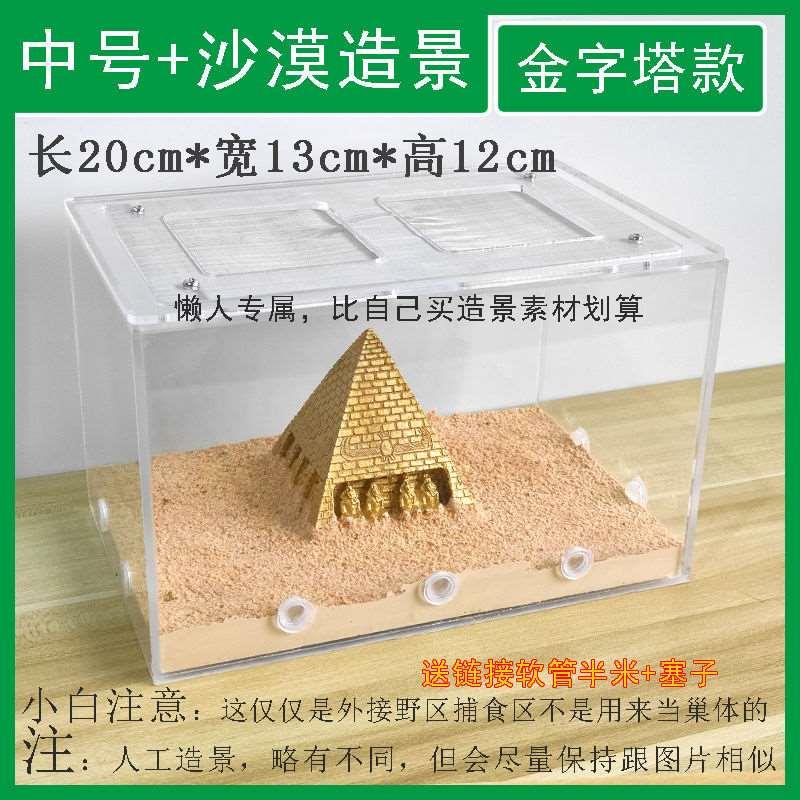 新款高档蚂蚁生态箱超大城堡垒工坊园窝巢观小型家庄察看亚克透力 - 图1