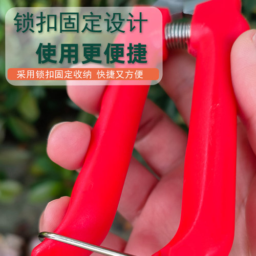 佐川田715大蒜专用剪蒜头蒜杆蒜胡剪子 修枝剪洋葱火龙果采摘剪刀 - 图0