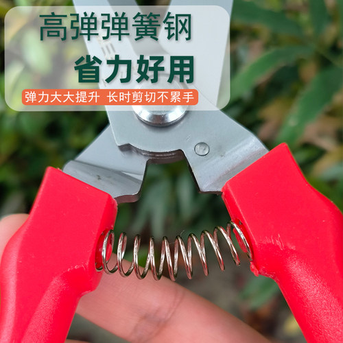 佐川田715大蒜专用剪蒜头蒜杆蒜胡剪子 修枝剪洋葱火龙果采摘剪刀 - 图1