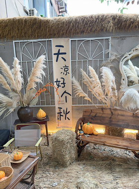 秋季美陈主题氛围场景布置芦苇干