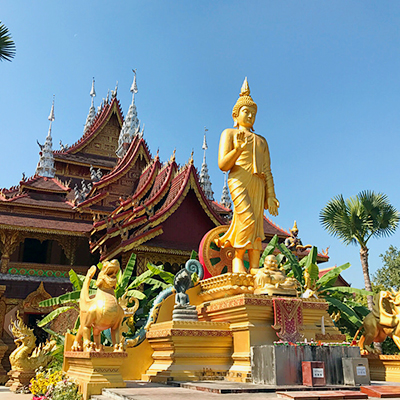 直飞版纳云南旅游西双版纳5天4晚纯玩小包团野象谷植物园含机票 - 图2