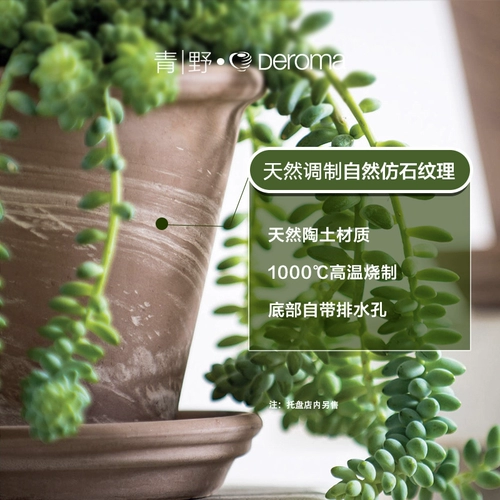 Qingye Derram