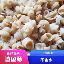 Good quality crisp red sausage Alias shark belly shark gut Deep-sea Belly Silk Fish Sausage Fresh Sand Fish Fresh Fish