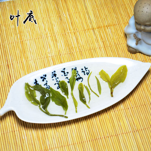 2026新茶汉东茶业陕南汉中炒青绿茶叶西乡特炒云雾茶一级250g袋装 - 图1