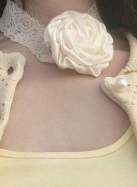 韩式玫瑰花颈圈蕾丝女白超仙性感
