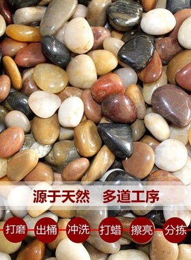 精抛光天然鹅卵石石头雨花石五彩石小石子花卉鱼缸园林铺路石