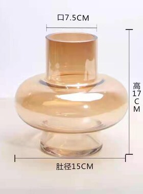 欧式大肚灯笼花瓶桌面办公室水培花瓶插花器幻彩花瓶玻璃容器