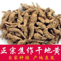 The birthplace of dried raw materials Jiaozuo is produced with the dried Chinese herbal medicine of the 20 Chinese herbal medicine 20 500 gr