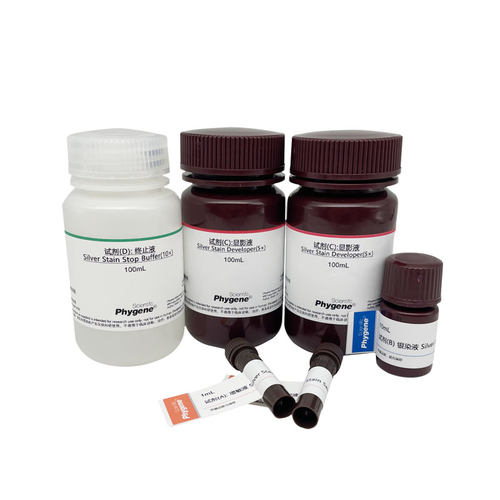 蛋白快速银染试剂盒 Protein Silver Stain Kit [PH1400 PHYGENE] - 图3