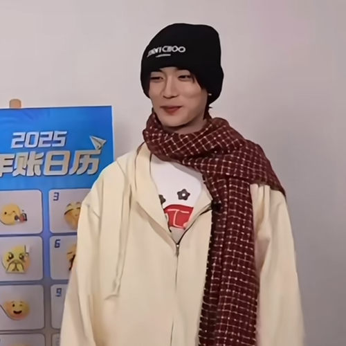 丁程鑫同款红色格子围巾新年红圣诞礼物保暖加厚围脖2026新款百搭 - 图0