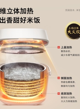 东芝鲜米家用酵活厚釜智能电饭煲