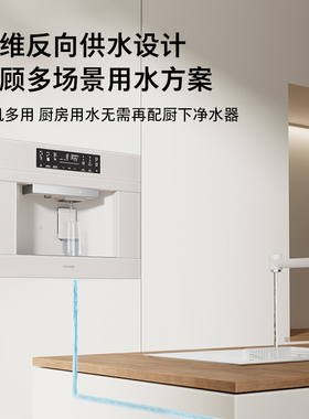 东芝小冰糖制冰块嵌入式直饮机