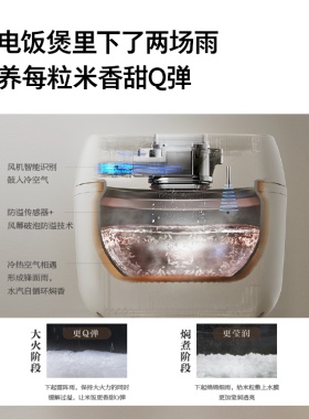 政府补贴东芝小白露IH电饭煲