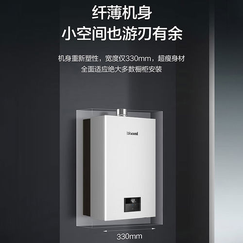 Rinnai/林内16E33G-CY/16E53G-CY燃气热水器焕芯系列进口芯片16升 - 图1