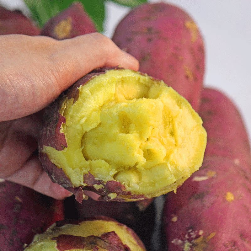 10斤正宗海南澄迈桥头富硒地瓜 果品康番薯