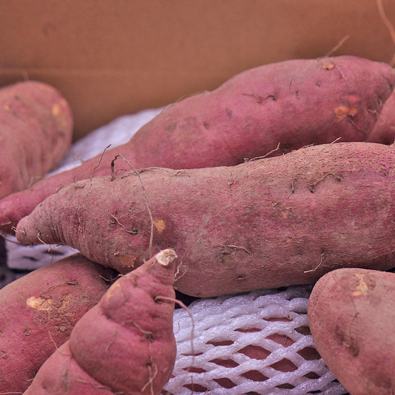 10斤正宗海南澄迈桥头富硒地瓜 果品康番薯