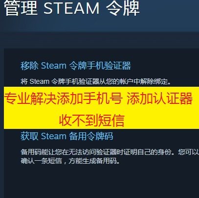 手机令牌steam 新人首单立减十元 22年3月 淘宝海外