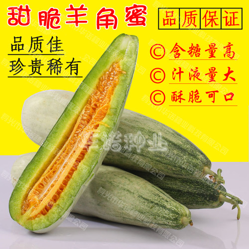 羊角蜜甜瓜种籽孑羊角酥水果脆甜香瓜甜瓜蔬菜籽秧苗四季菜园春播 - 图1