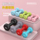 Plastic dipped iron dumbbells for arm training