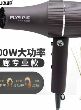 大功率电吹风机蓝光负离子风力大