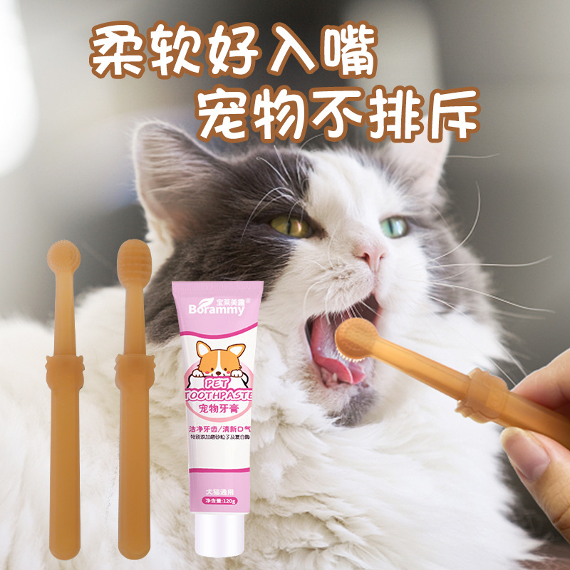 宠物猫咪硅胶小牙刷猫刷牙狗狗牙膏套装除口臭可食用牙齿清洁用品 - 图1