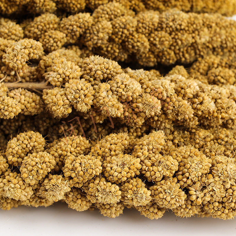 小型鸟鹦鹉零食 仓鼠粮 天然谷穗 仓鼠谷穗/鸟零食10根（25厘米）,淘宝优惠券,粉丝福利购,淘宝优惠卷