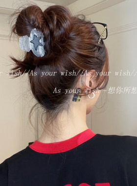 个性时尚高马尾抓夹细闪高级感
