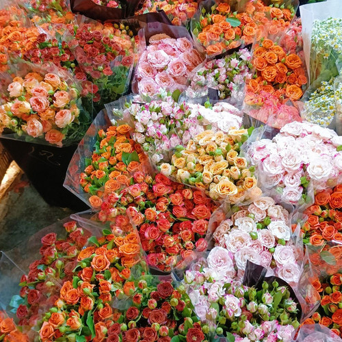 云南昆明鲜花基地直发红玫瑰花水养百合花束鲜切花向日葵 - 图1