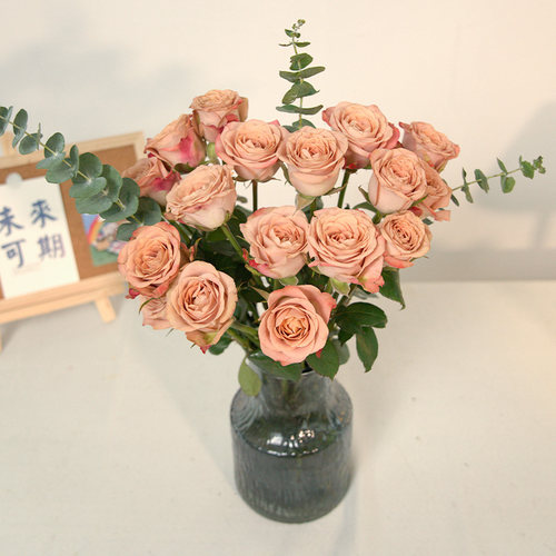 曼塔乌梅子酱稀有玫瑰花鲜花云南直发基地卡布奇诺鲜花鲜切花头小 - 图2