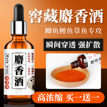 Pure high concentration of musk liquid traditional Chinese medicine wine small medicine crucian carp wild fishing bait for fishing special fish bait bait additive