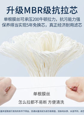 惠尔顿（WHEELTON）全屋净水器家用不锈钢中央净水前置过滤器自来