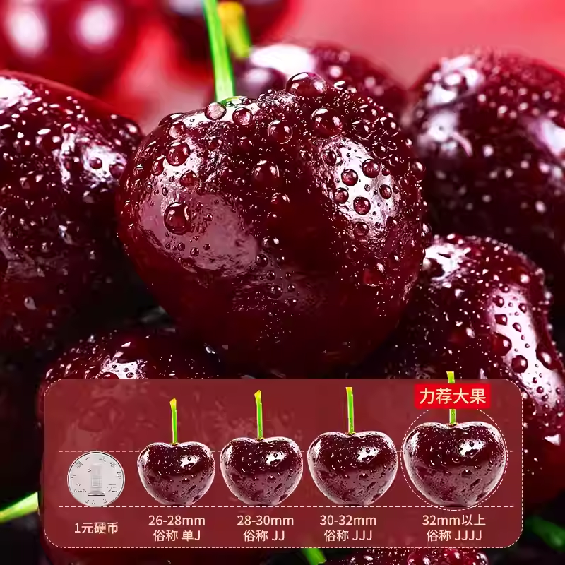智利车厘子新鲜水果进口桑提娜礼盒装当季整箱孕妇樱桃3j4j5j包邮,淘宝优惠券,粉丝福利购,淘宝优惠卷