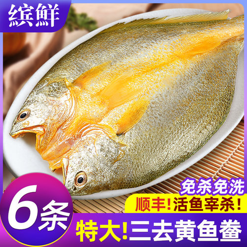 黄鱼鲞新鲜冷冻大黄鱼黄花鱼三去生鲜宁德小黄鱼鲜活海鲜海鱼商用 - 图1