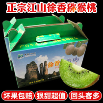 Jiangshan Xu Xiangkiwi Green Heart Macaque Peach Fruit Fresh When Season Full Box Official Flagship Store 10 Catchio Kiwi Fruit