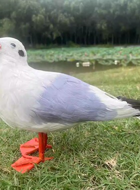 羽毛鸟仿真创意黑冠夜鹭庭院中式