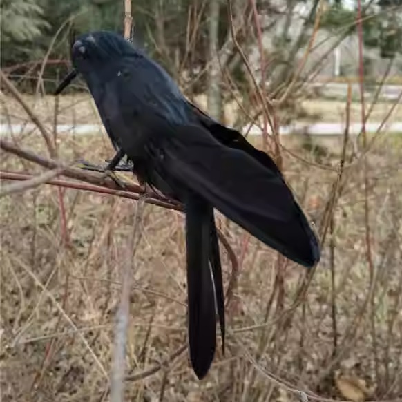 仿真羽毛燕子模型园林装饰摆件羽毛摄影道具马来金丝燕拍摄道具 - 图0