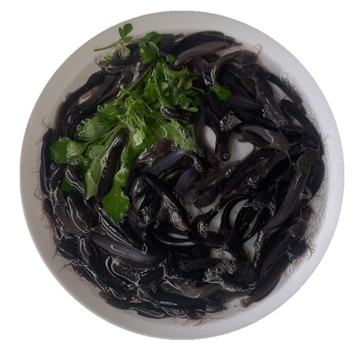本地塘鲺鱼苗土塘鲺胡子鲶鱼塘角鱼塘虱鱼鳅龙鱼饲料淡水活体养殖 - 图3