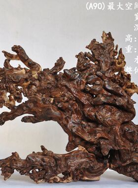 天然水沉枯木龟缸蜥蜴软装造景