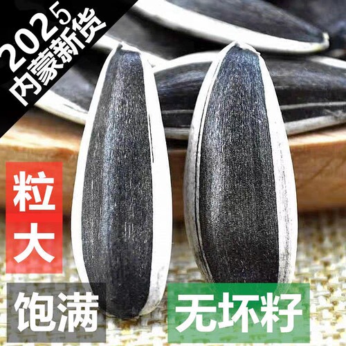 2025年新鲜生瓜子葵花籽新货原味瓜子炒熟大颗粒363向日葵散装5斤 - 图0