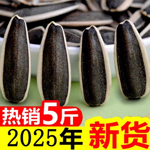 2025年新鲜生瓜子葵花籽新货原味瓜子炒熟大颗粒363向日葵散装5斤 - 图2