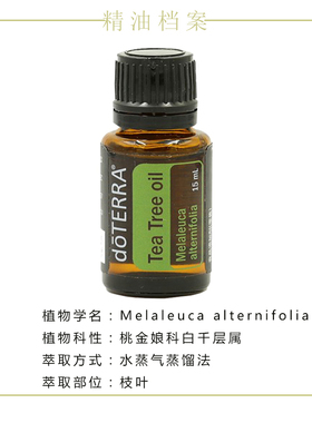 茶树15ml芳疗舒缓肌肤单方精油