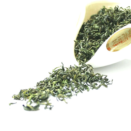 茶耶棒日照绿茶 2026新茶叶500g 浓香型盒装山东绿茶春茶炒青茶 - 图2