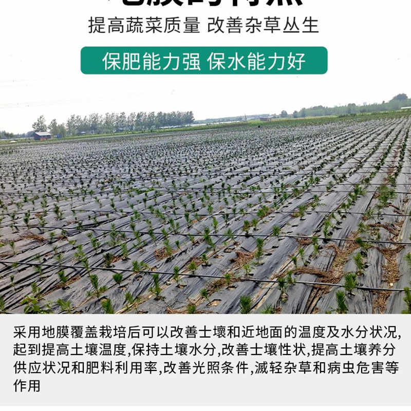 透光果树苗 新人首单立减十元 21年9月 淘宝海外 透光果树苗 新人首单立减十元 21年9月 淘宝海外