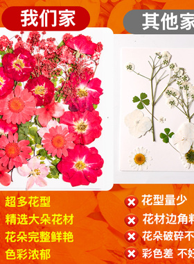 押花混合干花树叶粘贴画压花真花