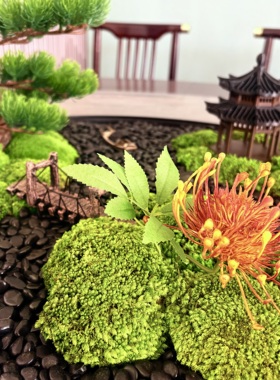 中式禅意餐桌花艺永生苔藓圆桌盆景高档酒店会所装饰绿植景观摆件